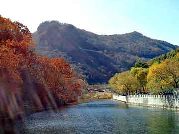 新澳天天开奖资料大全旅游团，司机看手机撞路人